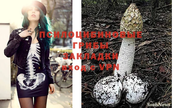 скорость Богданович