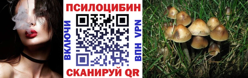 Купить где  Углегорск  Псилоцибиновые грибы GOLDEN TEACHER 